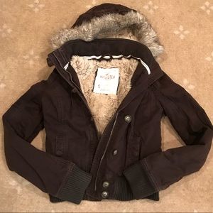 Hollister Winter Jacket